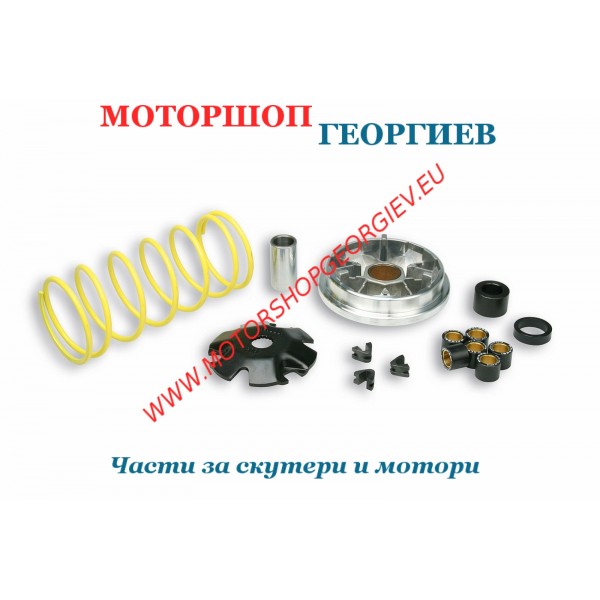 Резервна част Вариатор PIAGGIO SFERA, ZIP 50сс MALOSSI 51 7081 - Вариатори за скутери и макси скутери - Моторшоп Георгиев