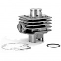 Кит цилиндър  50сс за PIAGGIO Free / Zip / Typhoon AC