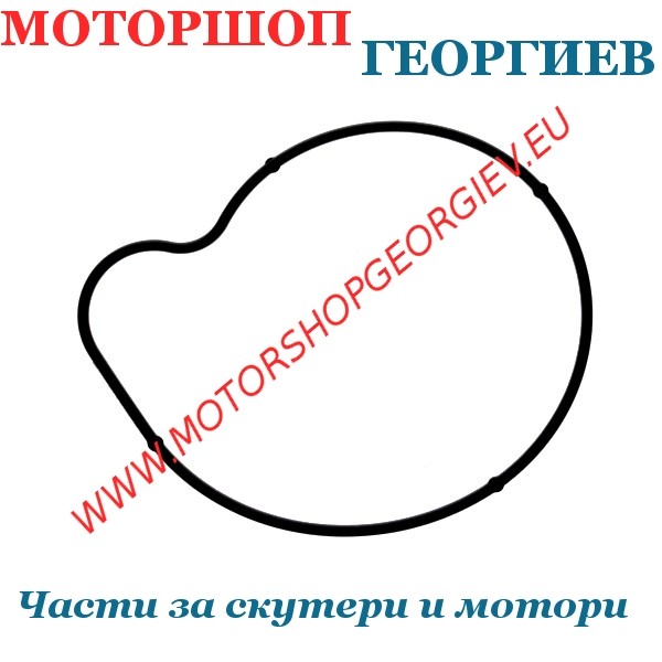 Резервна част Гарнитура за водна помпа YAMAHA TMAX 500-530cc / Yamaha XTZ 660 Tenere - Гарнитури за водни помпи - Моторшоп Георгиев