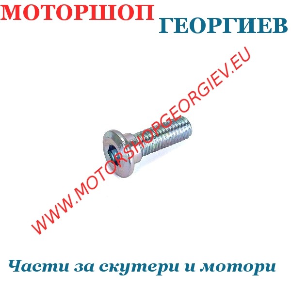Резервна част Болт за спирачен диск M8x1,25x5мм / Хромиран - Спирачна система - Моторшоп Георгиев