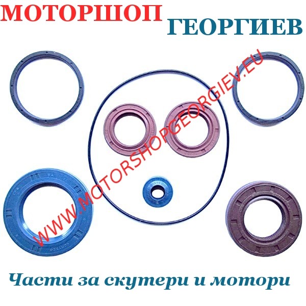 Резервна част Пълен комплект семеринги двигател ARTEIN - Piaggio 50 AC/LC / Derbi Scooter AC/LC (след 2003) - Семеринги - Моторшоп Георгиев