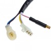 Статор 7 намотки за Yamaha Jog 50 / Minarelli 1PE40QMB - Детайлен изглед 3