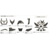 Спойлери YAMAHA T-MAX 500 2001-2007 - Резервни части