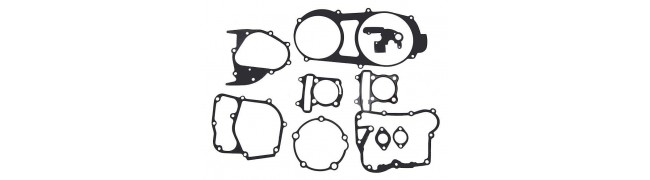 Гарнитури за двигатели / цилиндри